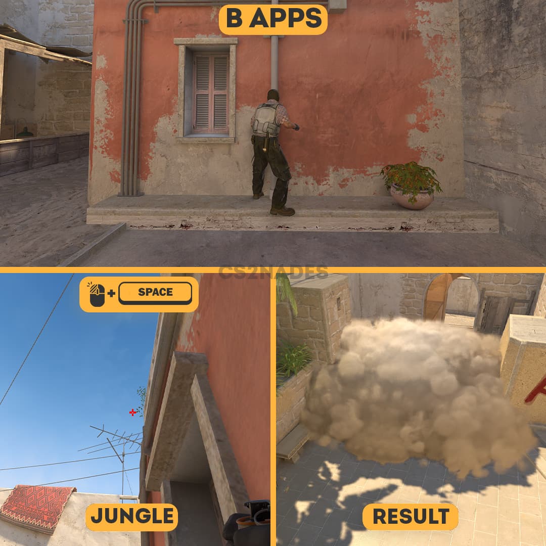 B Apps ➝ Jungle