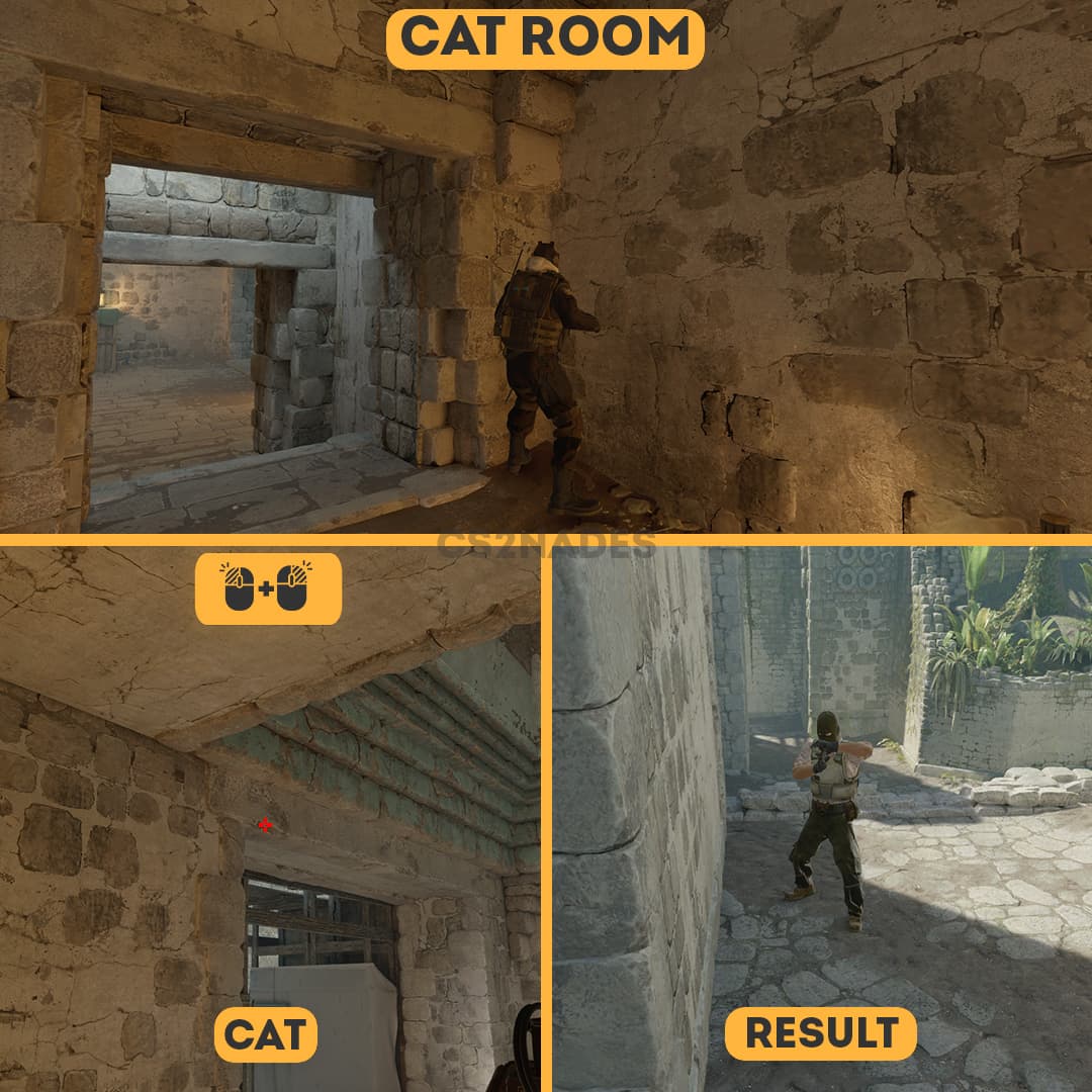 Cat Room ➝ Cat