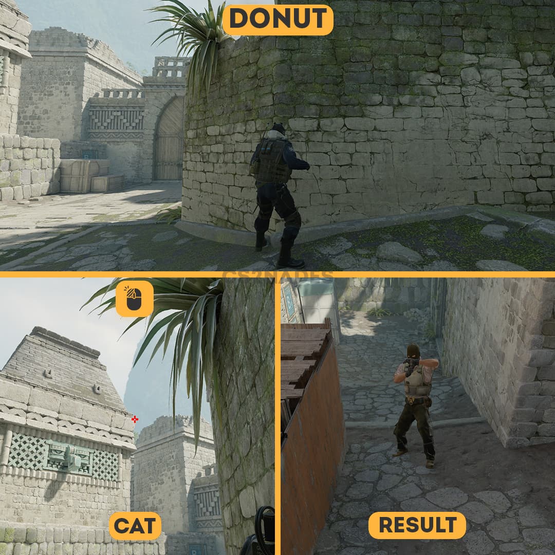 Donut ➝ Cat
