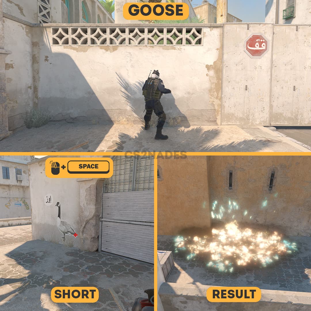 Goose ➝ Short