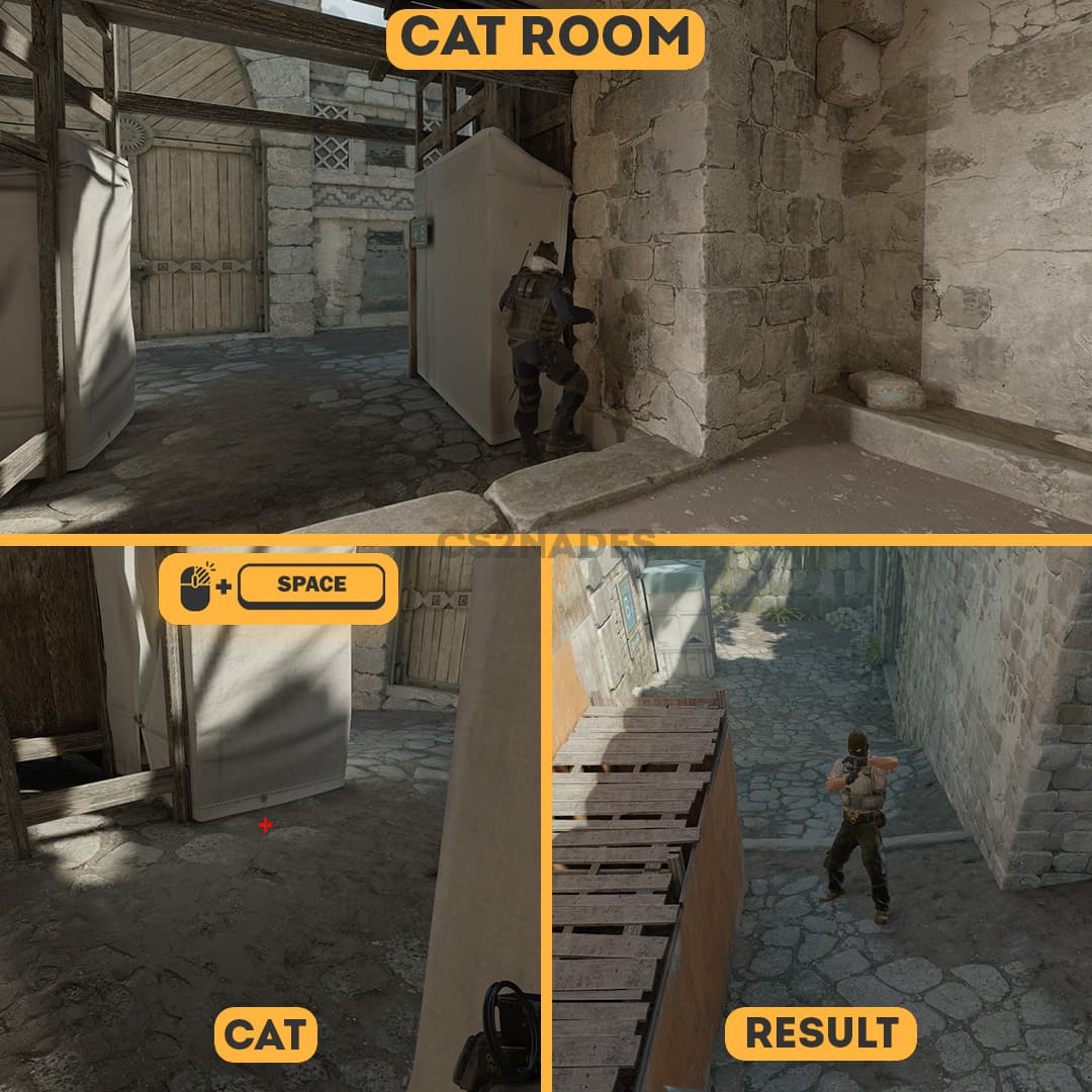 Cat Room ➝ Cat