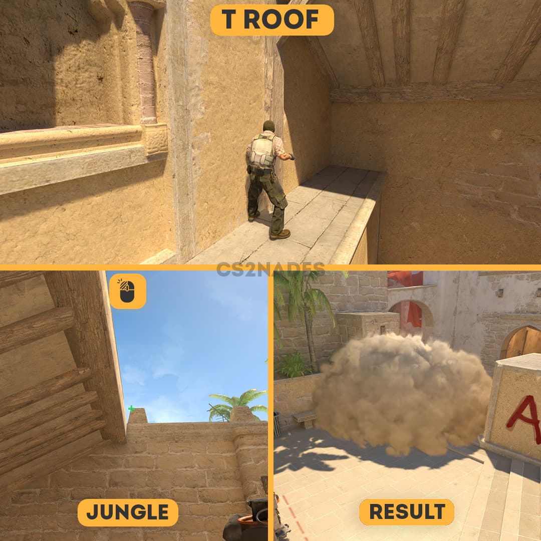 T Roof ➝ Jungle