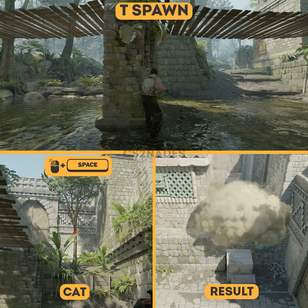 T Spawn ➝ Cat