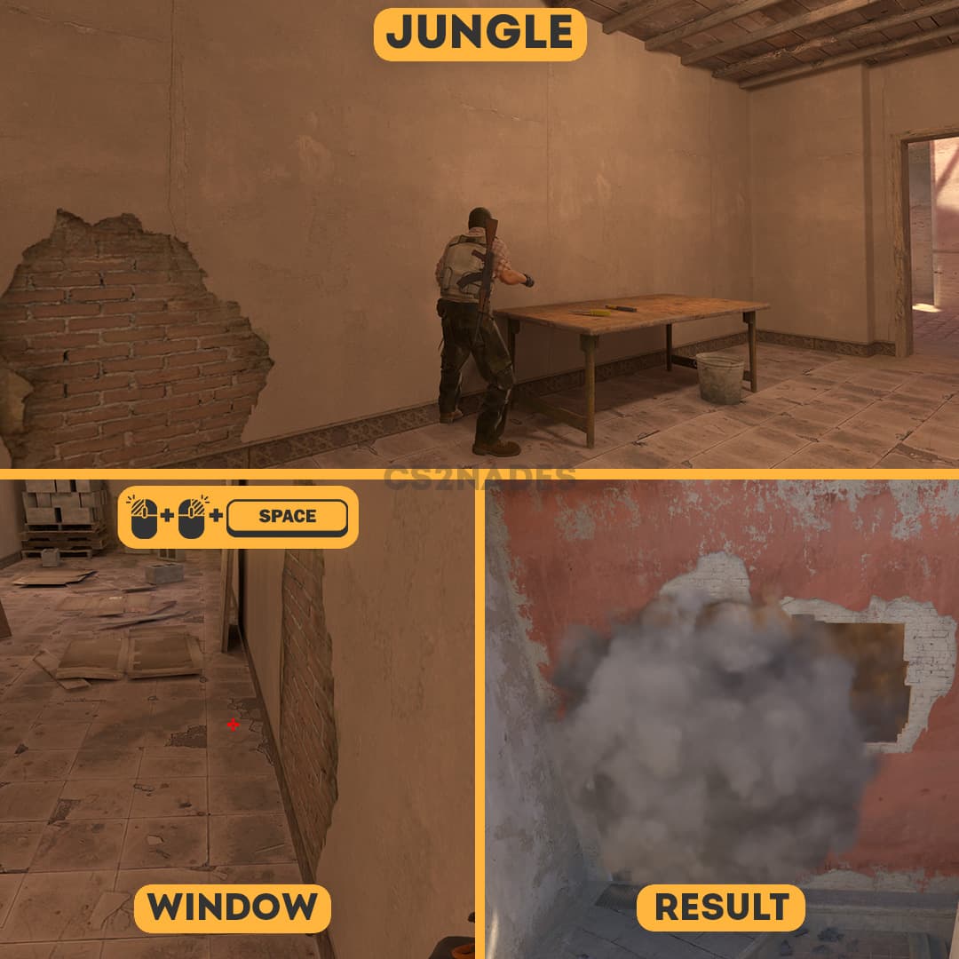 Jungle ➝ Window