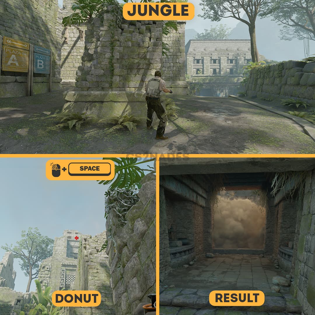 Jungle ➝ Donut