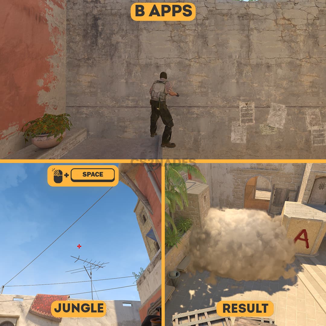 B Apps ➝ Jungle